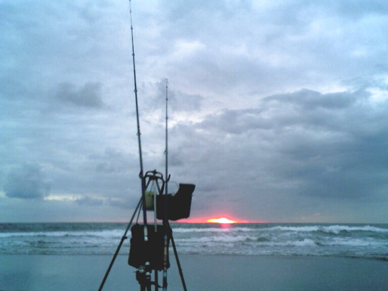 strandhengel kopen